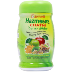 HAZMEENA CHATNI HAZMEENA CHATNI