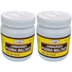 Jawarish Pudina Walayati 125gm (Pack of 2) Jawarish Pudina Walayati 125gm (Pack of 2)