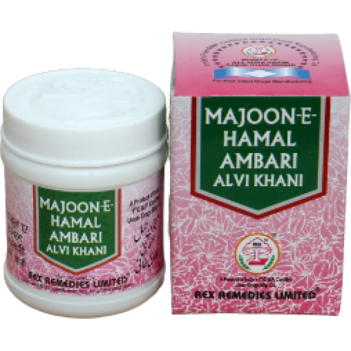 Majoon-E-Hamal Ambari Alvi Khani